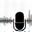 Voice Icon